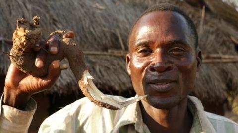 Nghề quái đản ở Malawi: Phá trinh bé gái