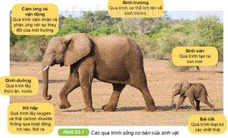 Khoa học tự nhiên 6 Bài 22: Sách khoa học tự nhiên 6 Kết nối kiến ​​thức với cuộc sống Trang 75