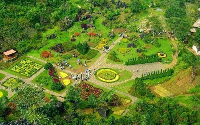 Vẻ đẹp khung cảnh bên vườn hpa Hàm Rồng Sapa