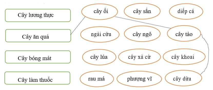 Bài tập cuối tuần thứ 2 trong lớp Việt Nam Kiến thức kết nối - Tuần 21 Bài tập cuối tuần ở lớp 2