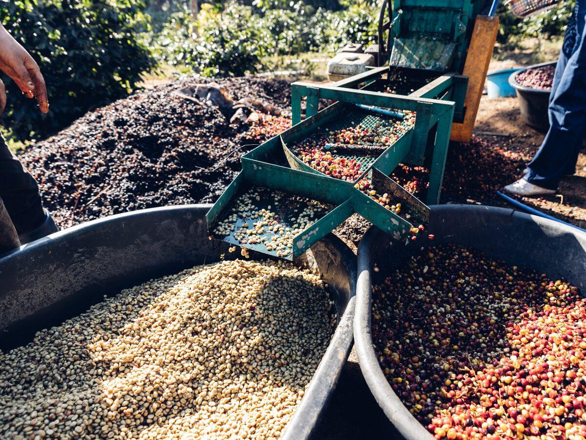 Virota Cafe | Chi phí gia công cà phê hòa tan - Những yếu tố ảnh hưởng và cách tối ưu