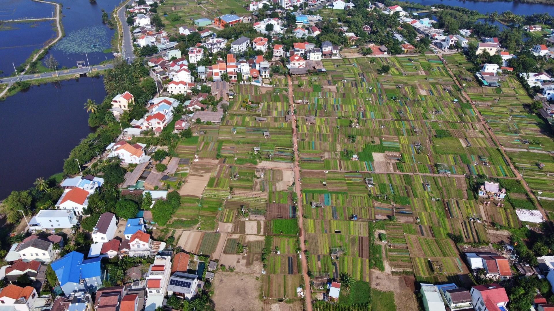 Quảng Nam phát triển du lịch xanh