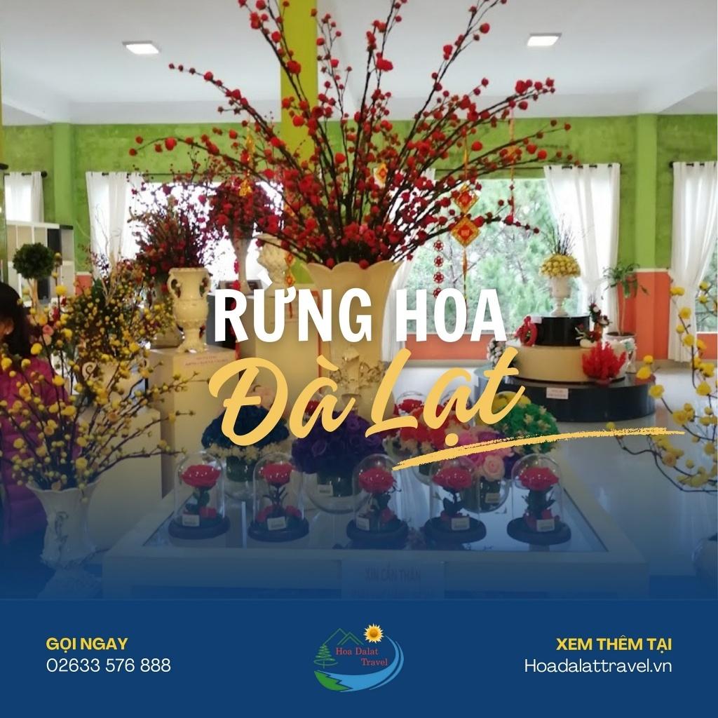 Trọn Bộ Kinh Nghiệm Tham Quan Showroom Rừng Hoa Đà Lạt Mới Nhất 2025