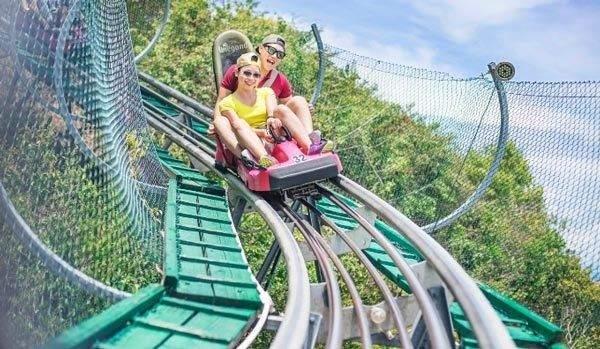 Vé VinWonders Nha Trang gói tiêu chuẩn + Cáp treo khứ hồi