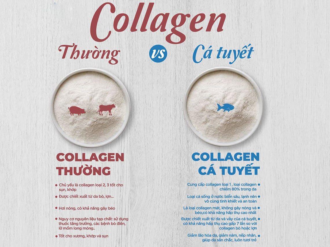 The Beauty Chef Deep Collagen Inner Beauty Support dạng bột (150g)