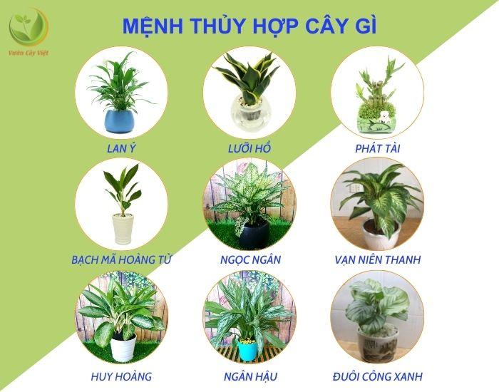 bang-mau-sac-cho-nguoi-menh-thuy-2.jpg
