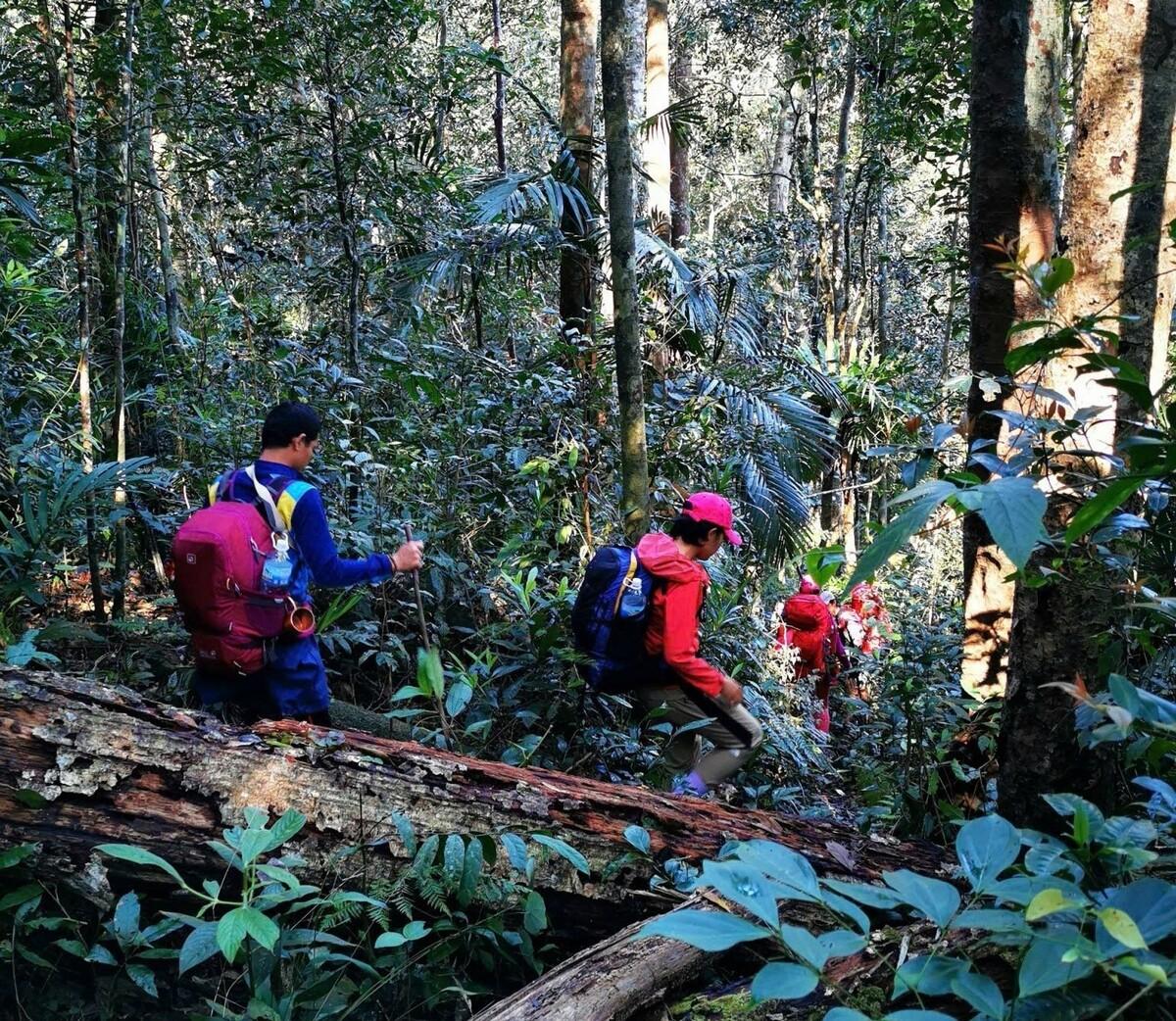 Well-ness Đi để thật thà. Trekking hay Hiking?