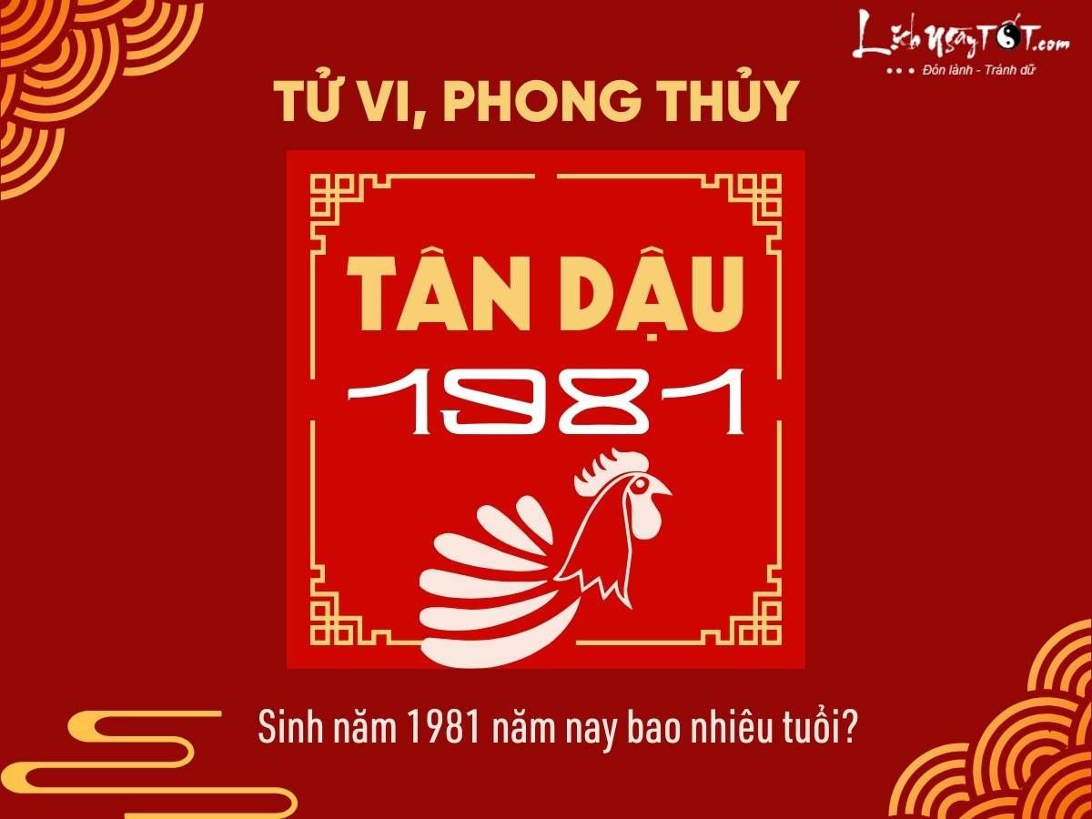 1981 Năm Nay Bao Nhiêu Tuổi? Khám Phá Tuổi Âm, Tuổi Dương và Vận Mệnh